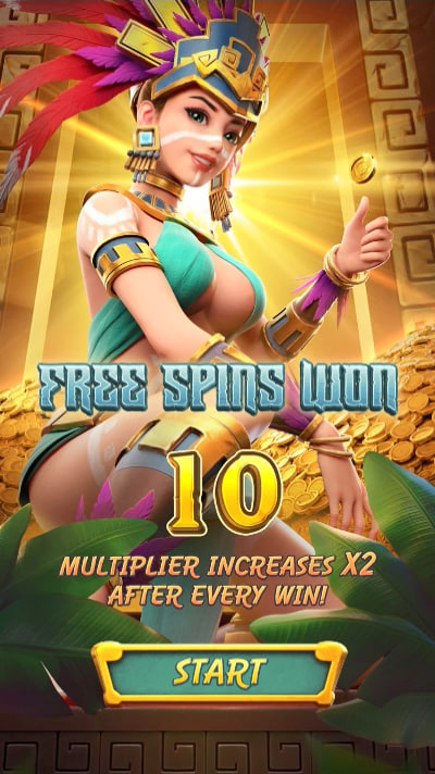 bruxo10 bet