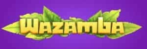 Blaze slot